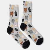 Pommeren Paw-prints en Dog-Botten Sokken (Rechts)