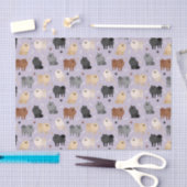 Pommeren Paw-prints en Dog-Botten-weefselpapier Tissuepapier (Craft)