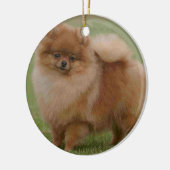 Pommeren Perfection Keramisch Ornament (Links)