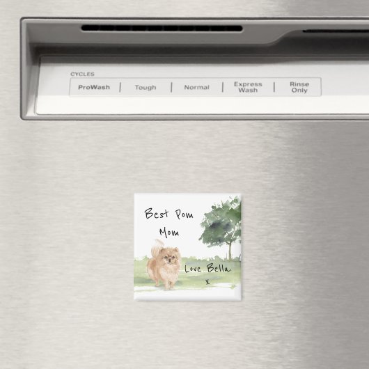 Pommeren Persoonlijke Magnet (Insitu (Vaatwasser))