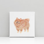 Pommeren Pet Dog Portrait Imitatie Canvas Print<br><div class="desc">Portret van Pommeren door Shelby Allison</div>