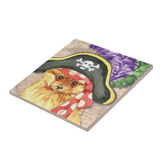 Pommeren Pirate Tegeltje (Zijkant)