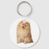 Pommeren Pom Pom Puppy Dog Sleutelhanger (Voorkant)