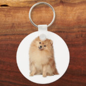 Pommeren Pom Pom Puppy Dog Sleutelhanger (Voorkant)