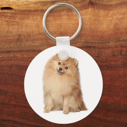 Pommeren Pom Pom Puppy Dog Sleutelhanger (Voorkant)