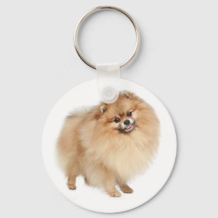 Pommeren Pom Pom Puppy Dog Sleutelhanger