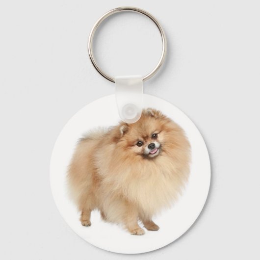 Pommeren Pom Pom Puppy Dog Sleutelhanger (Voorkant)