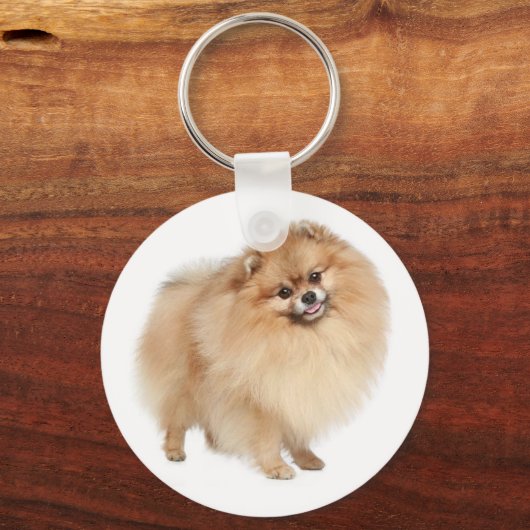 Pommeren Pom Pom Puppy Dog Sleutelhanger (Voorkant)