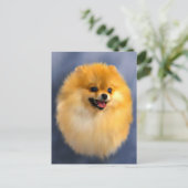 Pommeren Portrait Briefkaart (Staand voorkant)