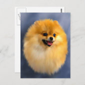 Pommeren Portrait Briefkaart (Voorkant / Achterkant)