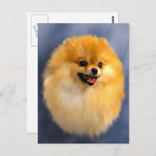 Pommeren Portrait Briefkaart (Voorkant / Achterkant)