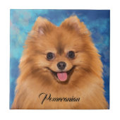 Pommeren Portret op Abstracte achtergrond Tegeltje (Voorkant)