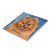 Pommeren Portret op Abstracte achtergrond Tegeltje (Zijkant)