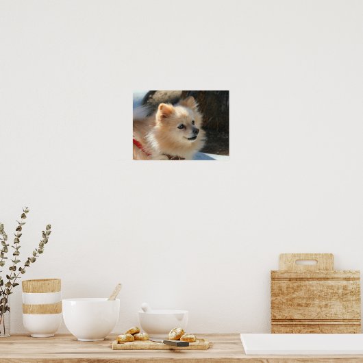 Pommeren poster (Keuken)