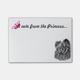 Pommeren Princess Notes met originele illustraties