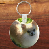 Pommeren Puppies Sleutelhanger (Voorkant)