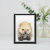 Pommeren puppy briefkaart (Staand voorkant)