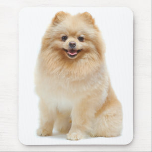 Pommeren Puppy Dog Mousepad Muismat