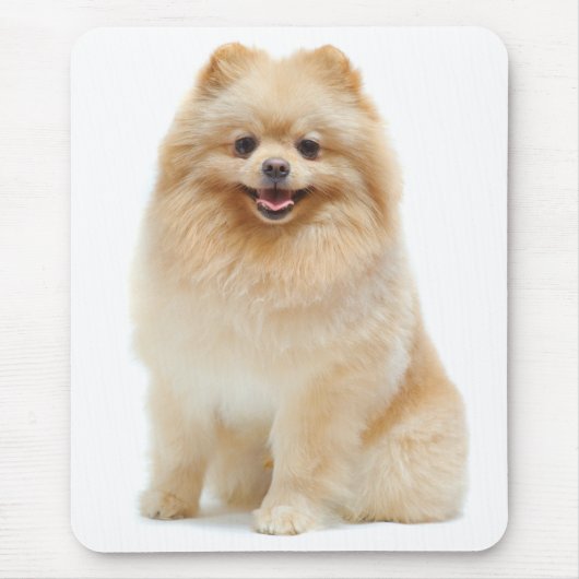 Pommeren Puppy Dog Mousepad Muismat (Voorkant)