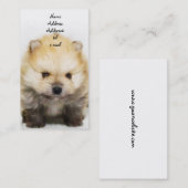 Pommeren puppy visitekaartje (Voorkant / Achterkant)