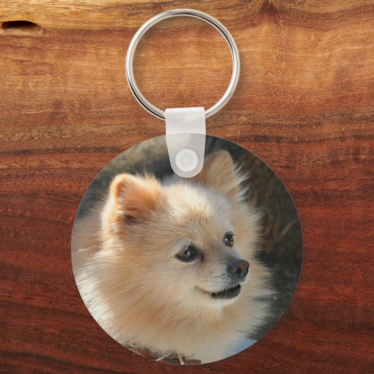 Pommeren sleutelhanger (Voorkant)