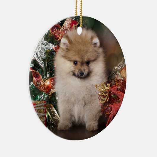 Pommeren Spitz, kerstpuppy Keramisch Ornament (Rechts)