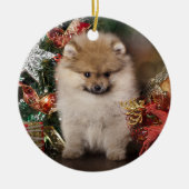 Pommeren Spitz, kerstpuppy Keramisch Ornament (Voorkant)