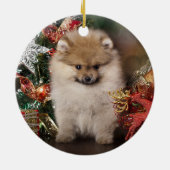 Pommeren Spitz, kerstpuppy Keramisch Ornament (Achterkant)