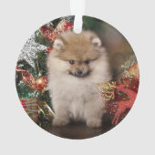 Pommeren Spitz, kerstpuppy Ornament (achterkant)
