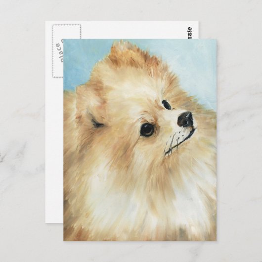 "Pommeren study Dog Art Briefkaart (Voorkant / Achterkant)