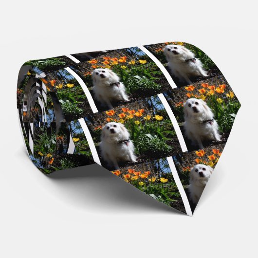 Pommeren Tulpen Stropdas (Opgerold)