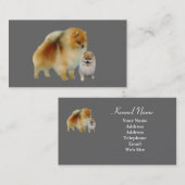 Pommeren Visitekaartje (Voorkant / Achterkant)