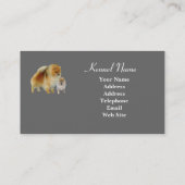 Pommeren Visitekaartje (Achterkant)