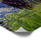 Pommeren (zwart) — Sterrennacht Poster (Hoek)