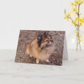 Pommerische hond kaart (Gele Bloem)