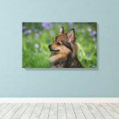 Pommerische hoofdopname canvas afdruk (Insitu (Houten vloer))