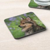 Pommerische hoofdopname drankjes onderzetter (Linkerzijde)