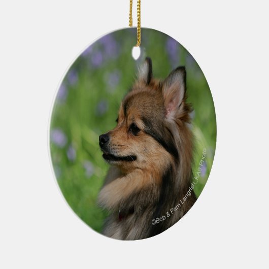 Pommerische hoofdopname keramisch ornament (Rechts)