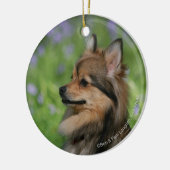 Pommerische hoofdopname keramisch ornament (Links)