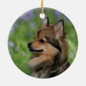 Pommerische hoofdopname keramisch ornament (Achterkant)