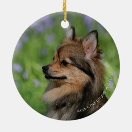 Pommerische hoofdopname keramisch ornament (Achterkant)