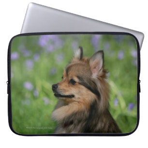 Pommerische hoofdopname laptop sleeve