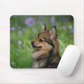 Pommerische hoofdopname muismat (Met muis)