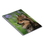 Pommerische hoofdopname notitieboek (Rechterzijde)