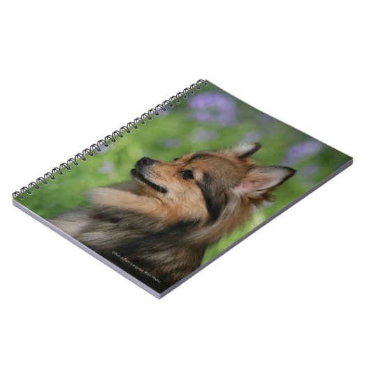 Pommerische hoofdopname notitieboek (Linkerzijde)