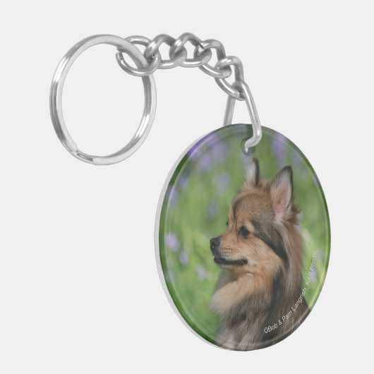 Pommerische hoofdopname sleutelhanger (Voorkant Links)