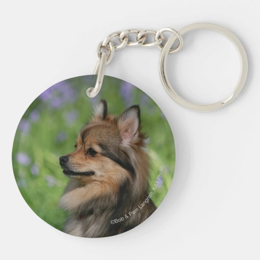 Pommerische hoofdopname sleutelhanger (Achterkant)