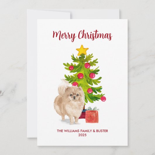 Pommerische kerstKaart (Voorkant)