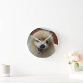 Pommerische klok (Huis)