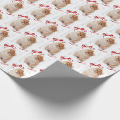 Pommerische wrappingpapier cadeaupapier (Hoek)